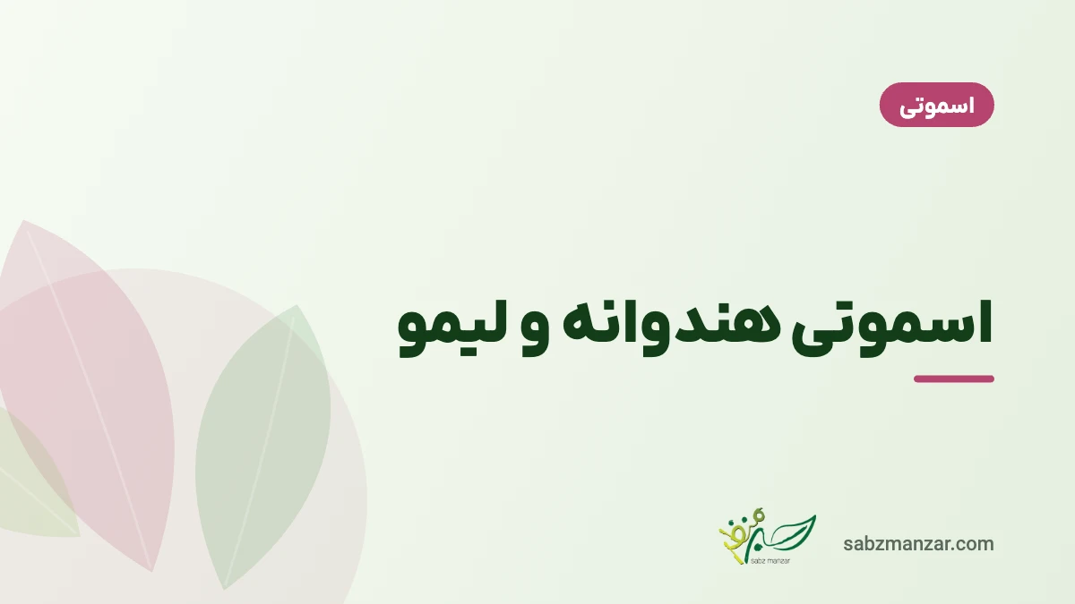 اسموتی هندوانه و لیمو