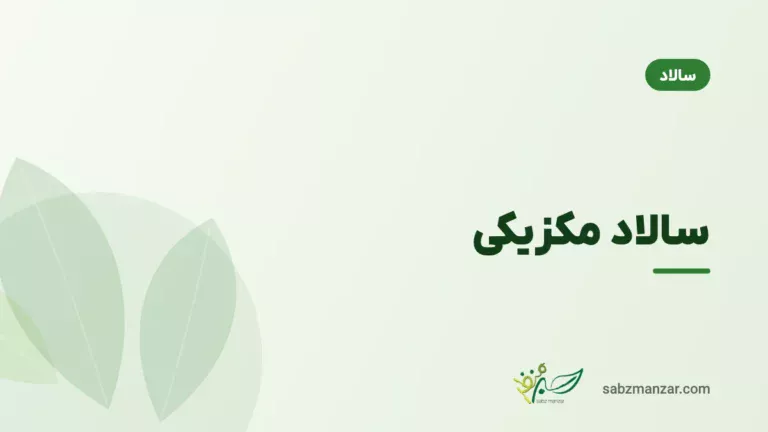 سالاد مکزیکی