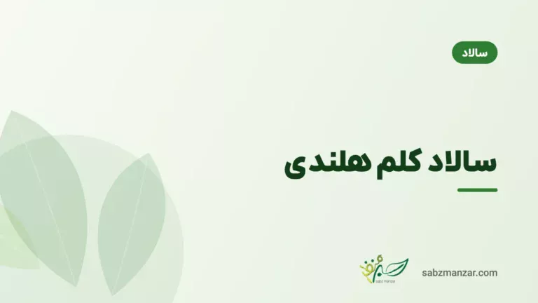 سالاد کلم هلندی