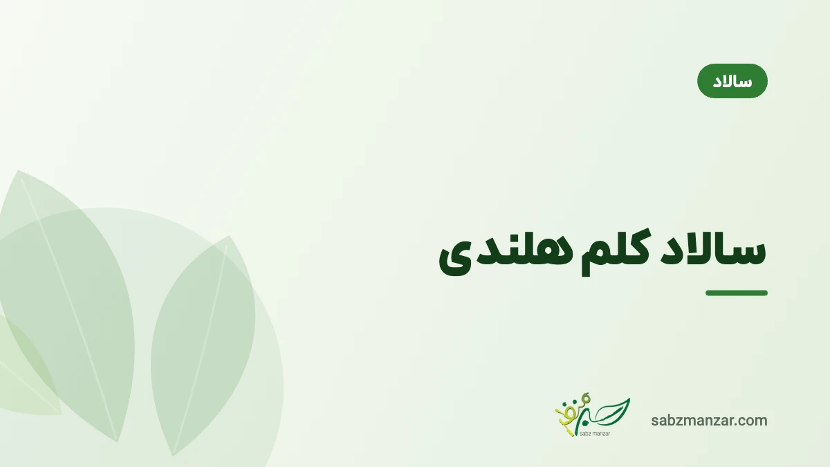 سالاد کلم هلندی