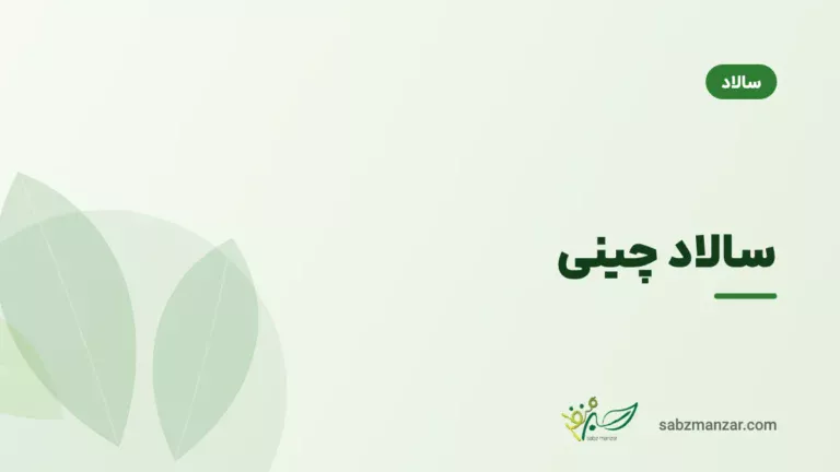 سالاد چینی