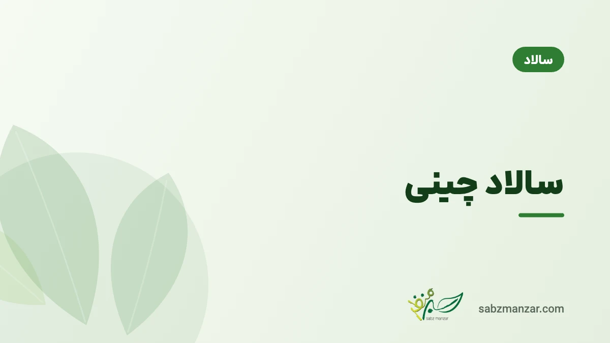 سالاد چینی