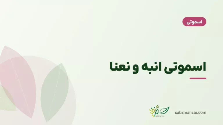 اسموتی انبه و نعنا