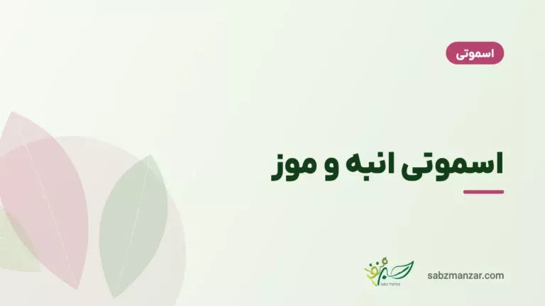 اسموتی انبه و موز