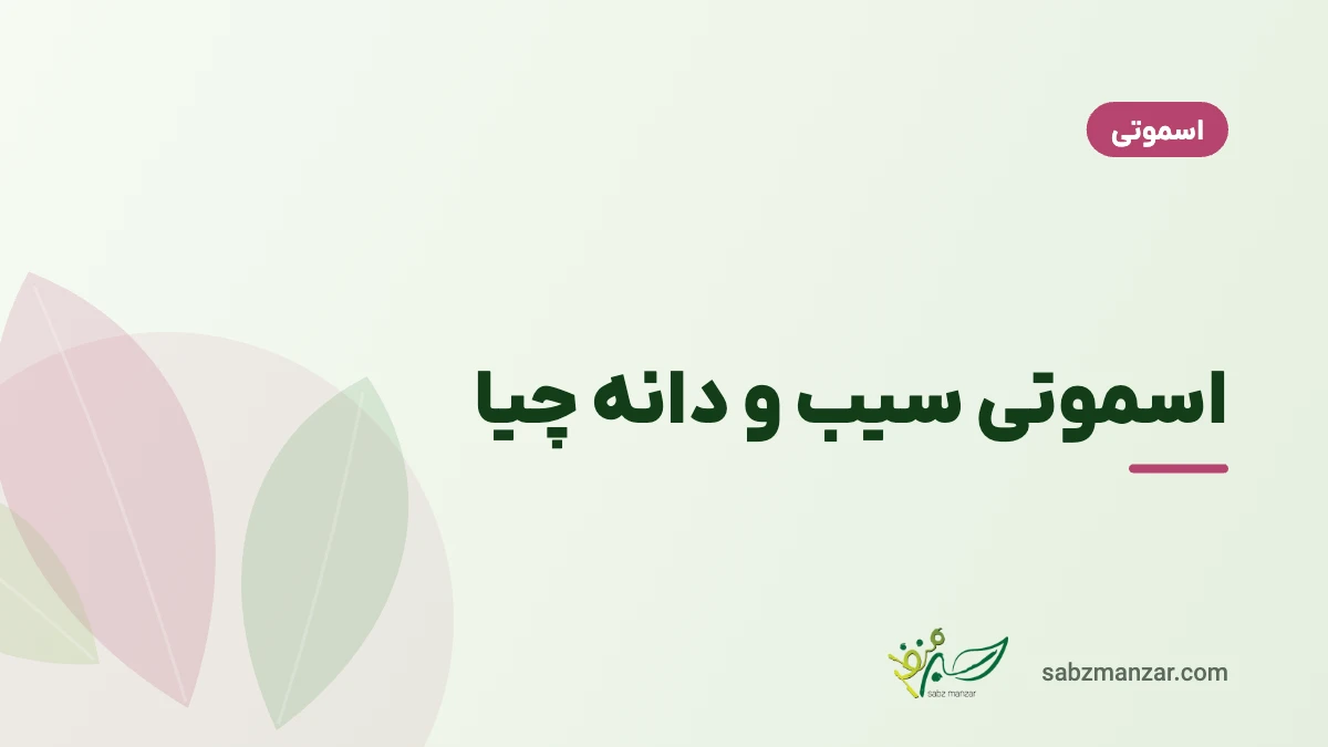 اسموتی سیب و دانه چیا