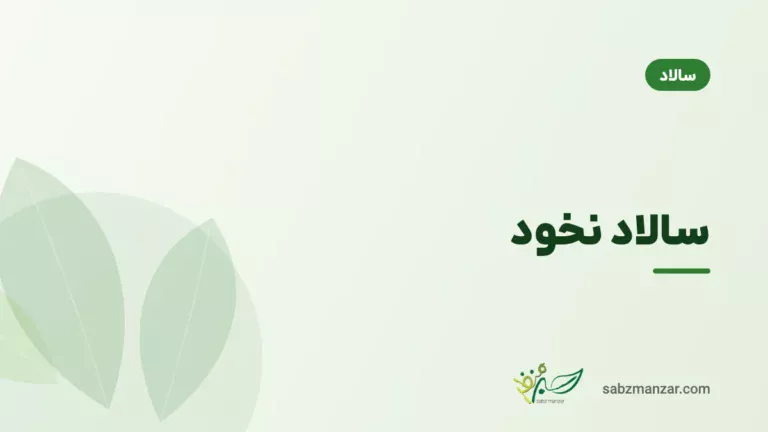 سالاد نخود