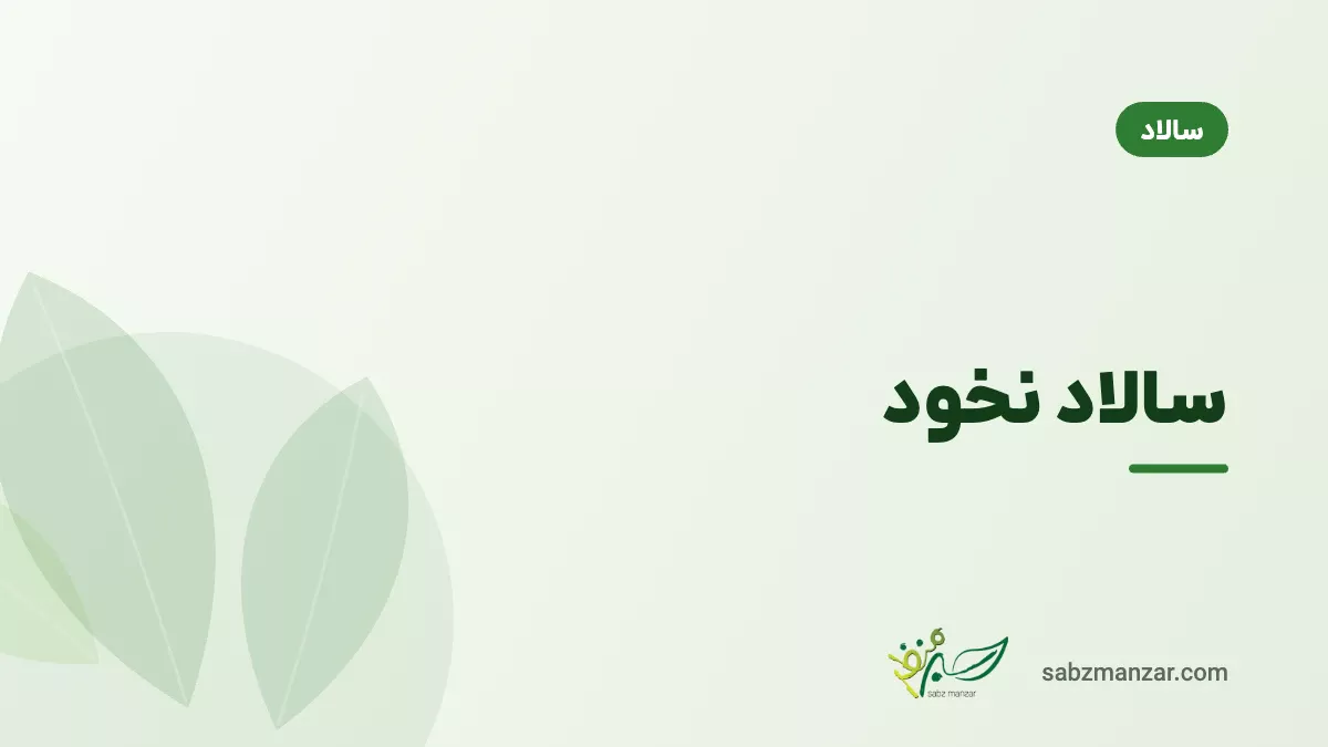 سالاد نخود