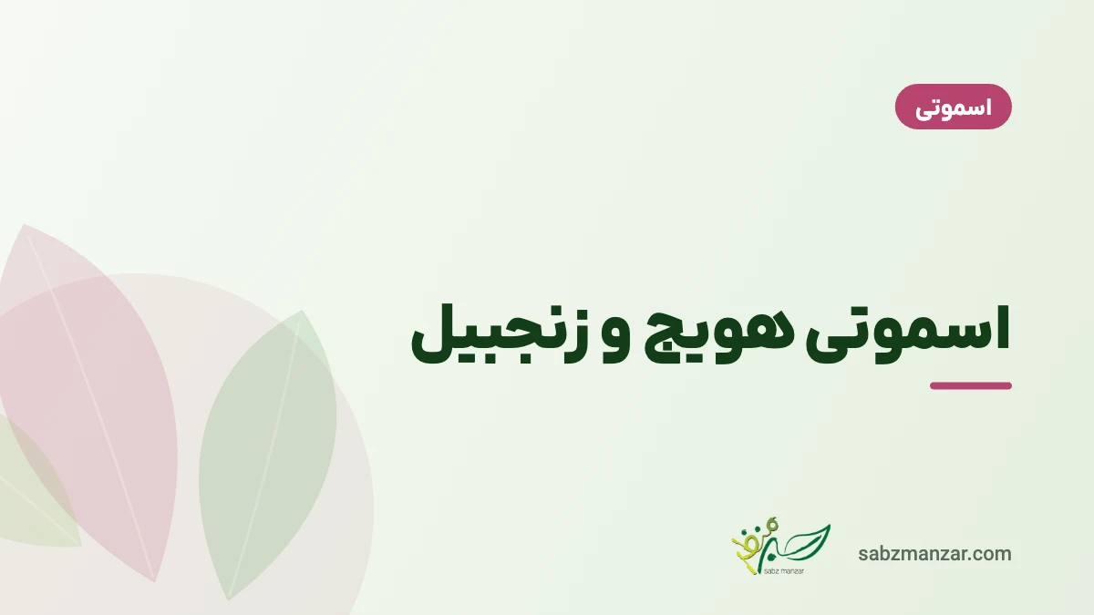 اسموتی هویج و زنجبیل