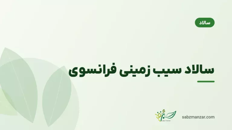 سالاد سیب زمینی فرانسوی