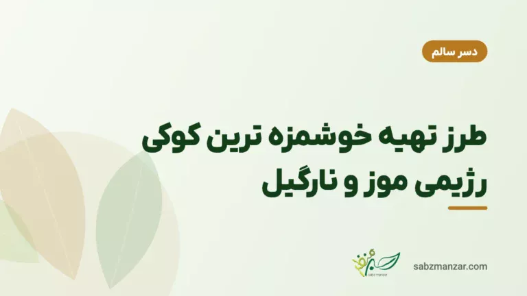 طرز تهیه خوشمزه ترین کوکی رژیمی موز و نارگیل