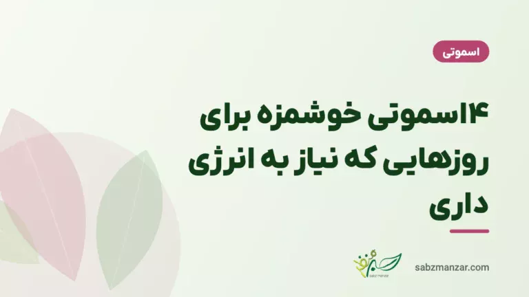 ۴اسموتی خوشمزه برای روزهایی که نیاز به انرژی داری