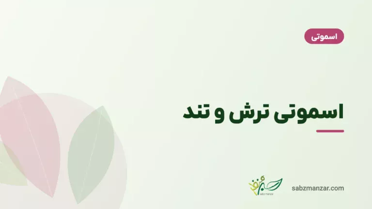 اسموتی ترش و تند