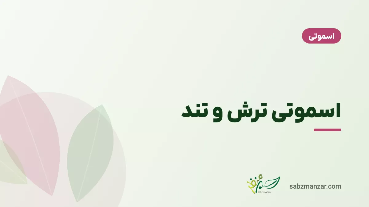 اسموتی ترش و تند