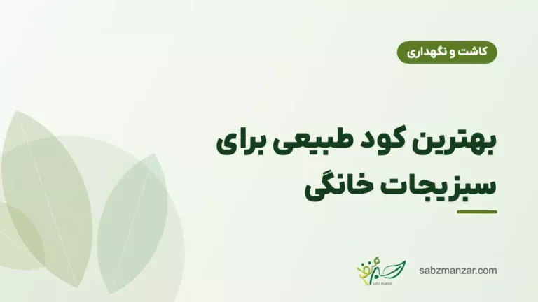 بهترین کود طبیعی برای سبزیجات خانگی