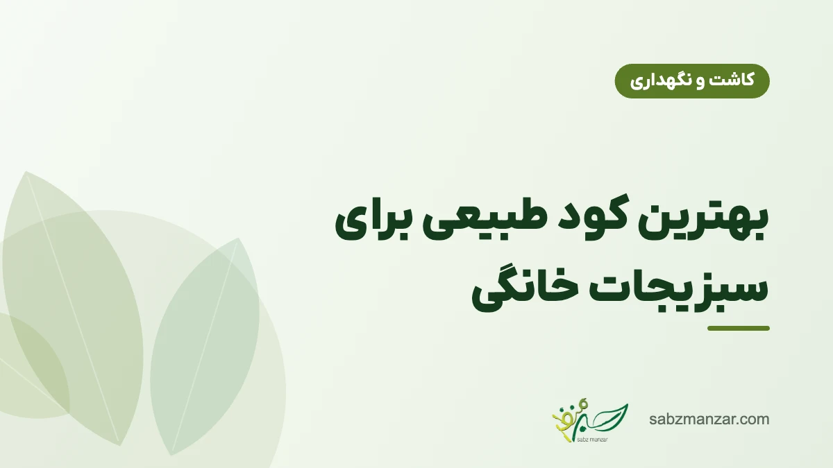 بهترین کود طبیعی برای سبزیجات خانگی