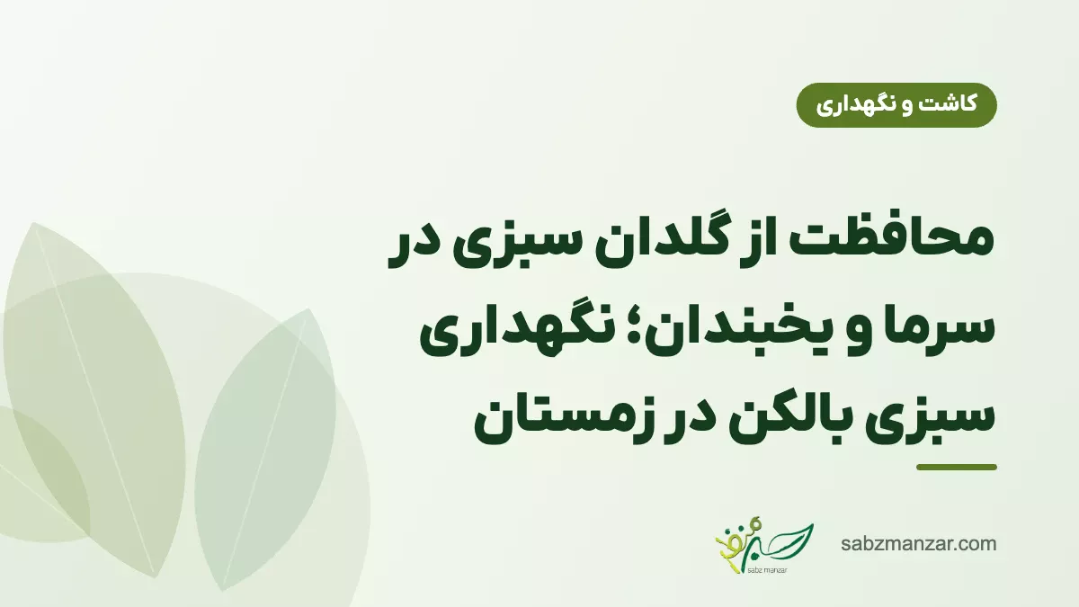 محافظت از گلدان سبزی در سرما و یخبندان؛ نگهداری سبزی بالکن در زمستان
