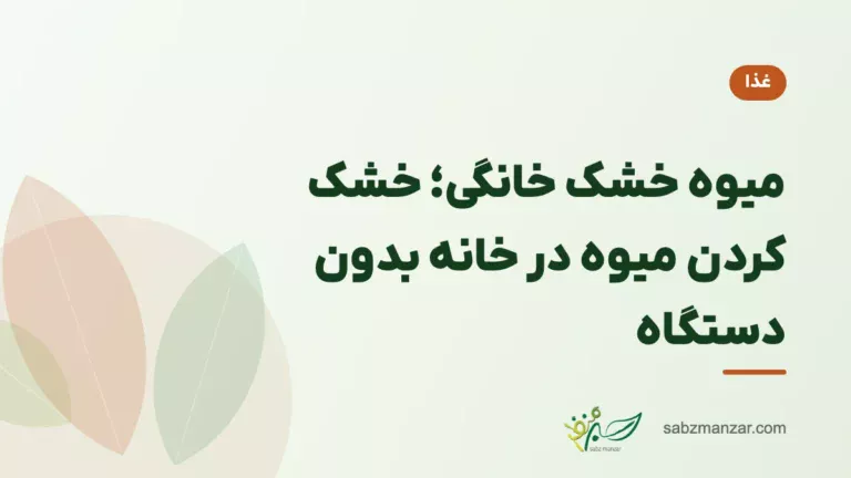 میوه خشک خانگی؛ خشک کردن میوه در خانه بدون دستگاه